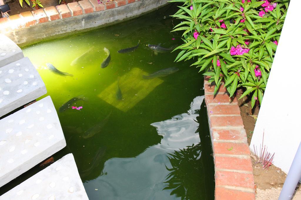 Countryside Garden Homestay Hoi An Exterior foto