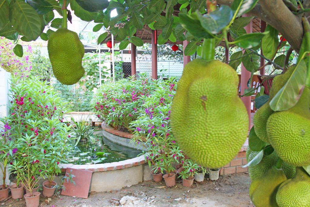 Countryside Garden Homestay Hoi An Exterior foto