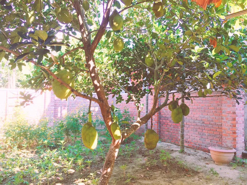 Countryside Garden Homestay Hoi An Exterior foto